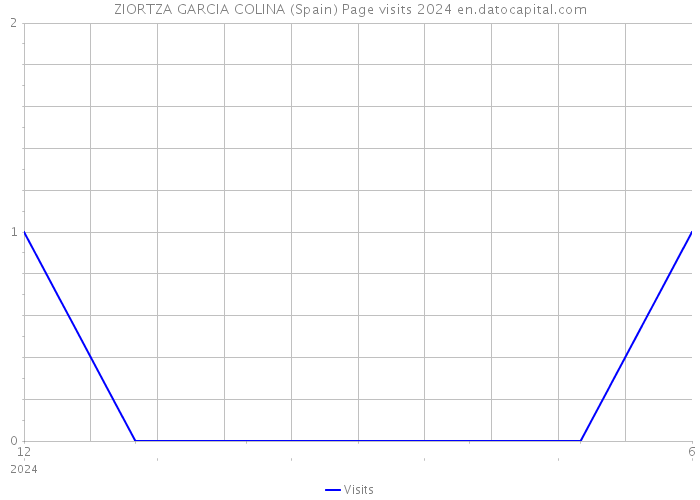 ZIORTZA GARCIA COLINA (Spain) Page visits 2024 