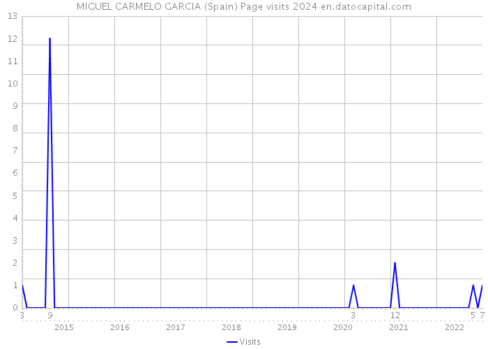 MIGUEL CARMELO GARCIA (Spain) Page visits 2024 