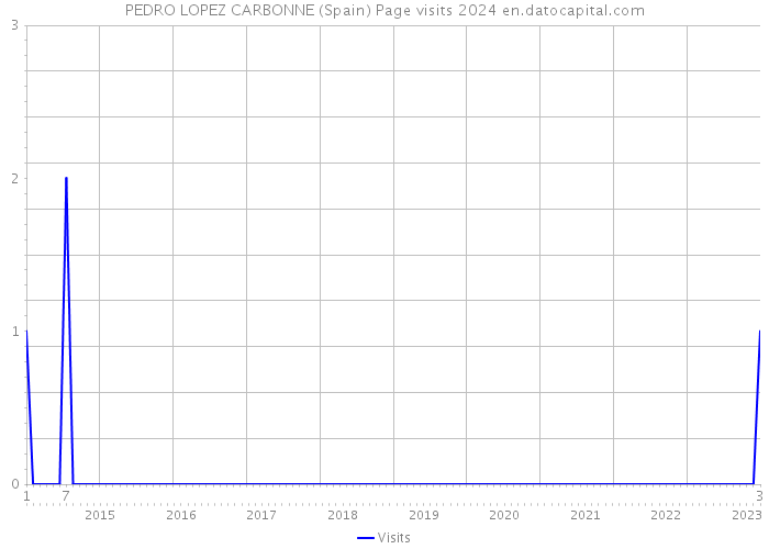 PEDRO LOPEZ CARBONNE (Spain) Page visits 2024 