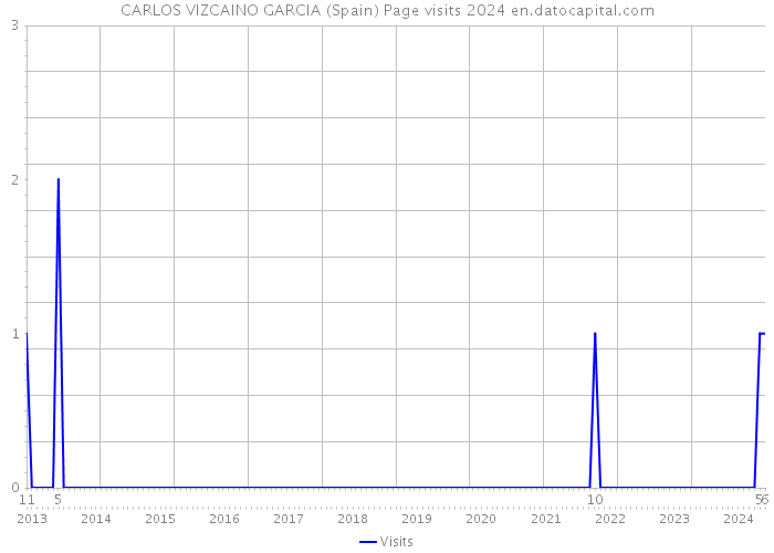 CARLOS VIZCAINO GARCIA (Spain) Page visits 2024 