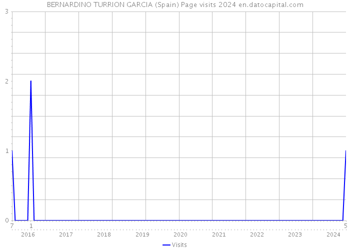 BERNARDINO TURRION GARCIA (Spain) Page visits 2024 