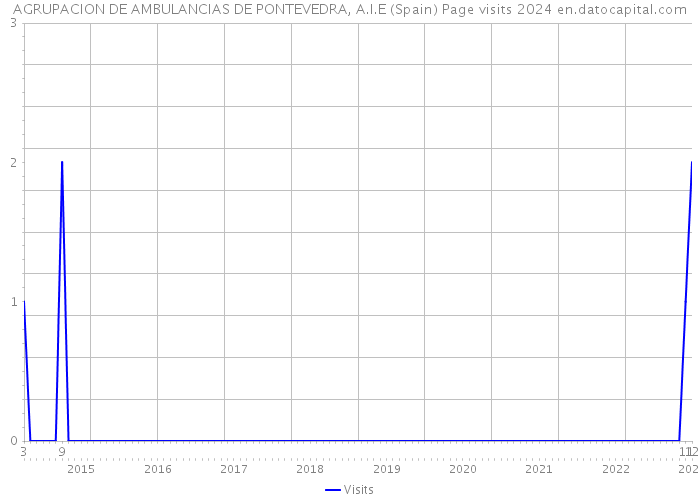 AGRUPACION DE AMBULANCIAS DE PONTEVEDRA, A.I.E (Spain) Page visits 2024 