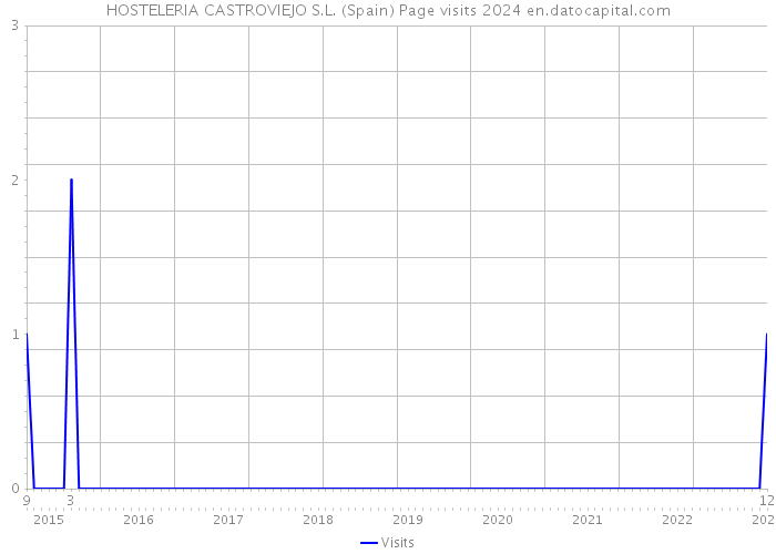 HOSTELERIA CASTROVIEJO S.L. (Spain) Page visits 2024 