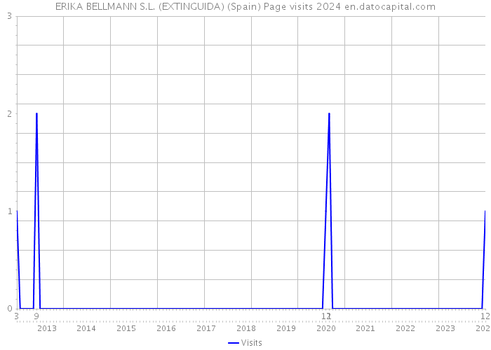 ERIKA BELLMANN S.L. (EXTINGUIDA) (Spain) Page visits 2024 