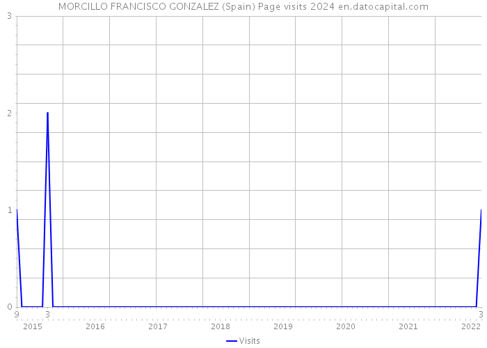 MORCILLO FRANCISCO GONZALEZ (Spain) Page visits 2024 