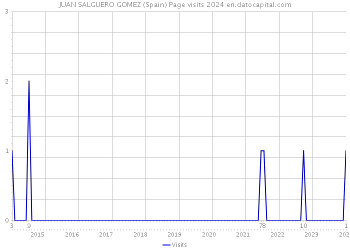JUAN SALGUERO GOMEZ (Spain) Page visits 2024 