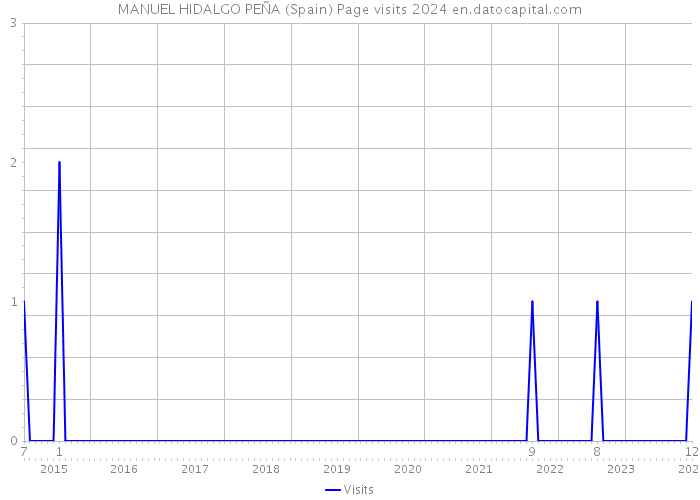 MANUEL HIDALGO PEÑA (Spain) Page visits 2024 