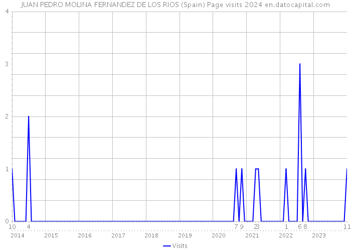 JUAN PEDRO MOLINA FERNANDEZ DE LOS RIOS (Spain) Page visits 2024 