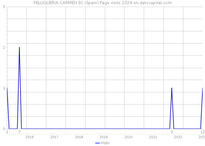 PELUQUERIA CARMEN SC (Spain) Page visits 2024 