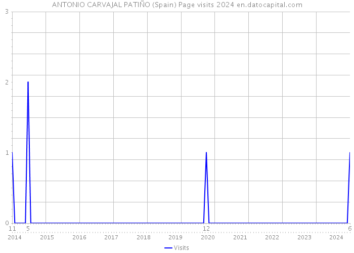 ANTONIO CARVAJAL PATIÑO (Spain) Page visits 2024 