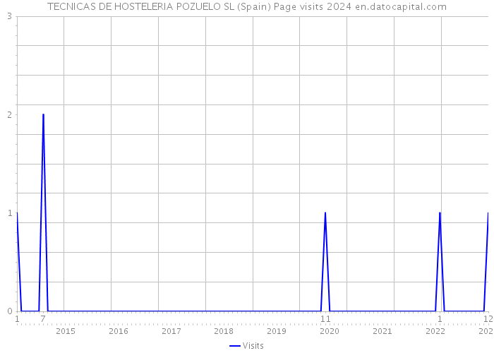 TECNICAS DE HOSTELERIA POZUELO SL (Spain) Page visits 2024 