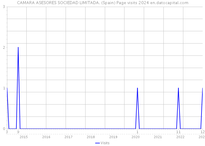 CAMARA ASESORES SOCIEDAD LIMITADA. (Spain) Page visits 2024 