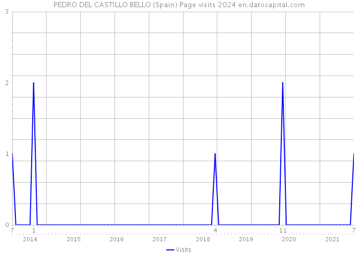PEDRO DEL CASTILLO BELLO (Spain) Page visits 2024 