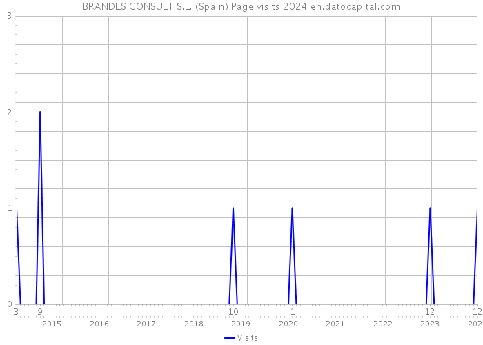 BRANDES CONSULT S.L. (Spain) Page visits 2024 