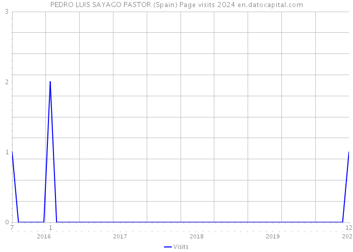 PEDRO LUIS SAYAGO PASTOR (Spain) Page visits 2024 