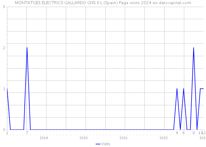 MONTATGES ELECTRICS GALLARDO GNS S L (Spain) Page visits 2024 