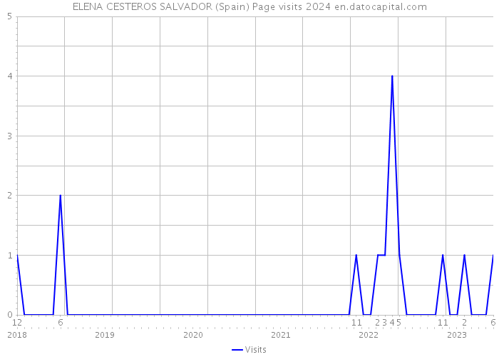 ELENA CESTEROS SALVADOR (Spain) Page visits 2024 
