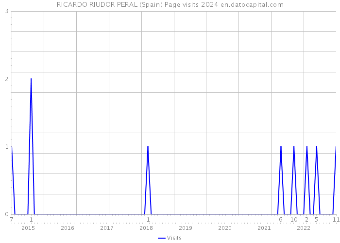 RICARDO RIUDOR PERAL (Spain) Page visits 2024 