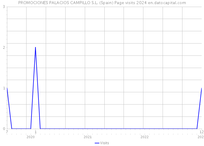 PROMOCIONES PALACIOS CAMPILLO S.L. (Spain) Page visits 2024 