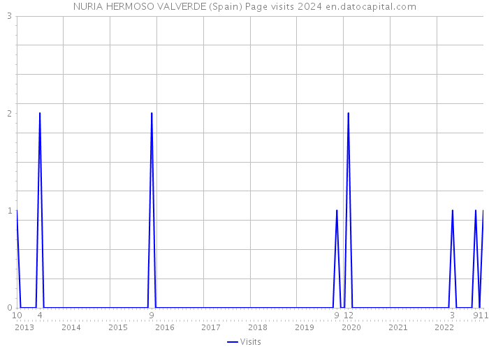 NURIA HERMOSO VALVERDE (Spain) Page visits 2024 