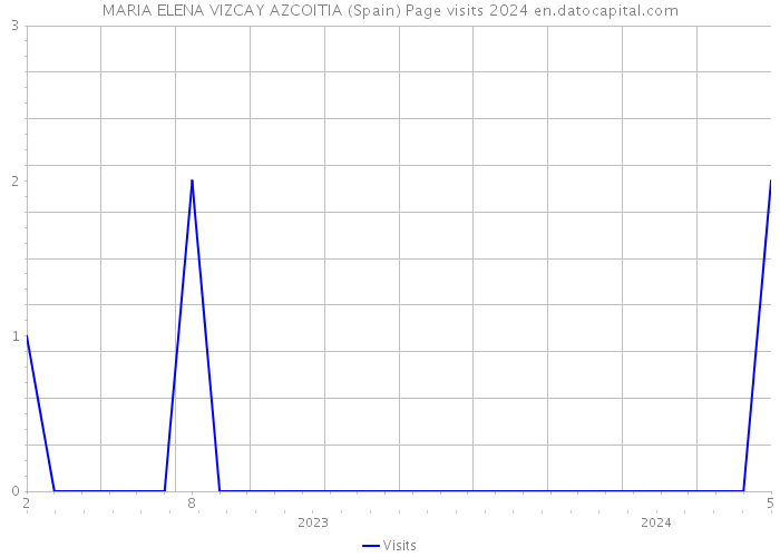 MARIA ELENA VIZCAY AZCOITIA (Spain) Page visits 2024 