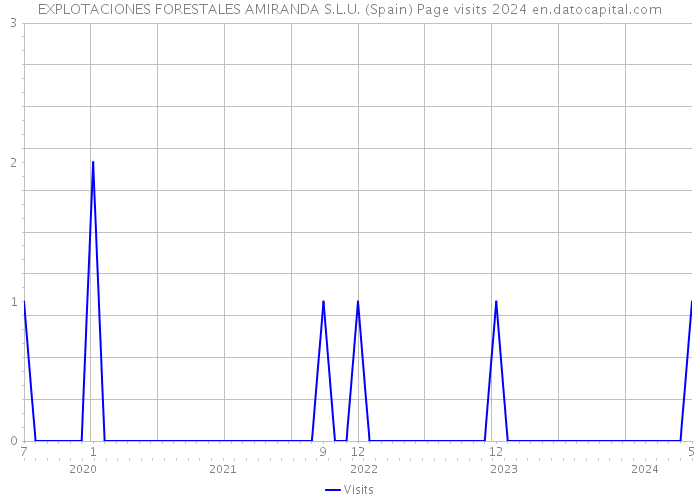 EXPLOTACIONES FORESTALES AMIRANDA S.L.U. (Spain) Page visits 2024 