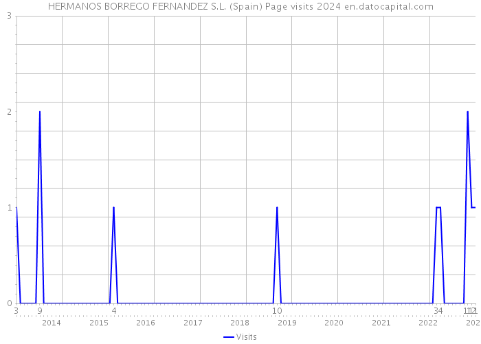 HERMANOS BORREGO FERNANDEZ S.L. (Spain) Page visits 2024 