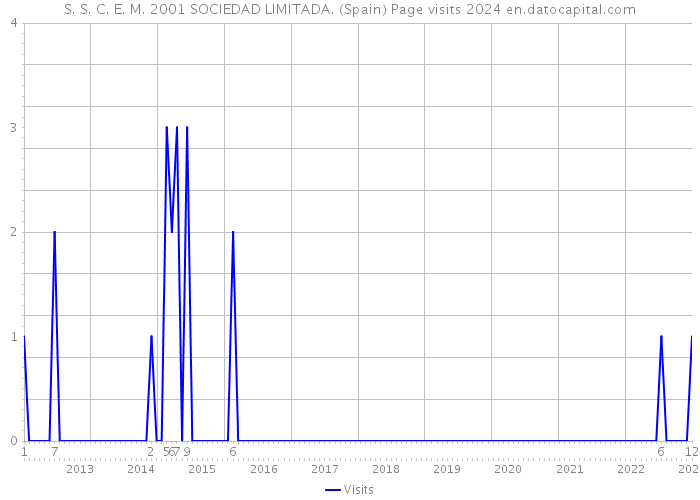 S. S. C. E. M. 2001 SOCIEDAD LIMITADA. (Spain) Page visits 2024 