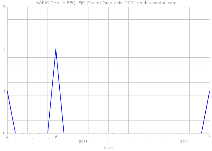 MARIO DAVILA REQUEJO (Spain) Page visits 2024 