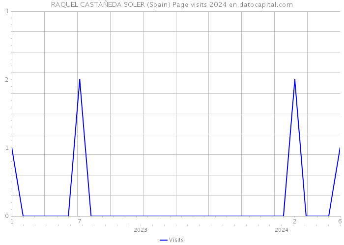 RAQUEL CASTAÑEDA SOLER (Spain) Page visits 2024 