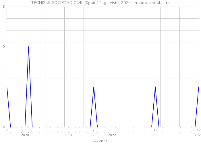TECNISUR SOCIEDAD CIVIL (Spain) Page visits 2024 