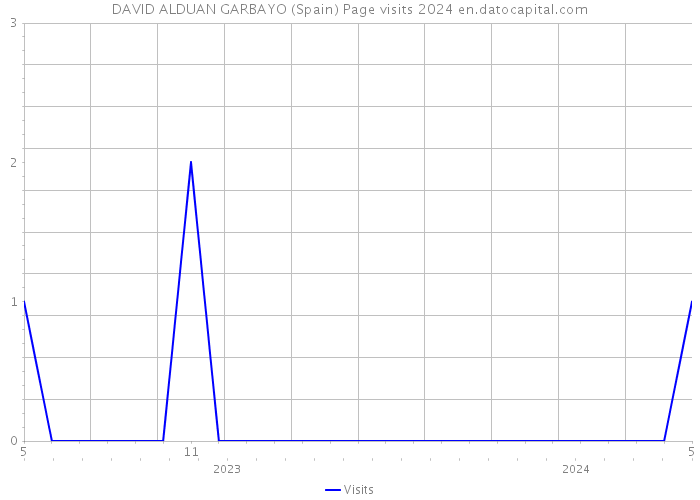 DAVID ALDUAN GARBAYO (Spain) Page visits 2024 