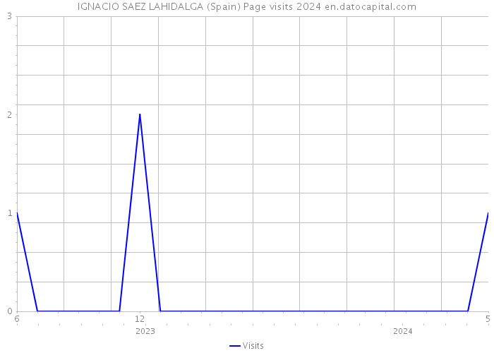 IGNACIO SAEZ LAHIDALGA (Spain) Page visits 2024 
