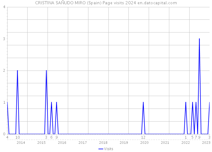 CRISTINA SAÑUDO MIRO (Spain) Page visits 2024 