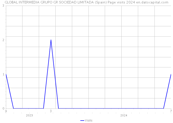GLOBAL INTERMEDIA GRUPO GR SOCIEDAD LIMITADA (Spain) Page visits 2024 
