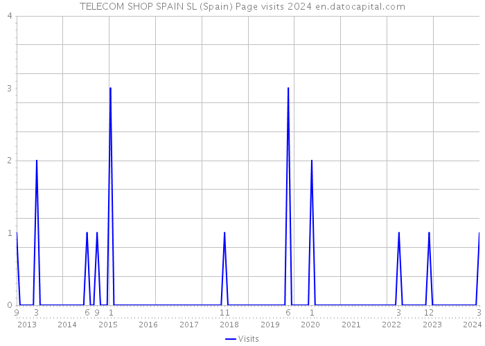 TELECOM SHOP SPAIN SL (Spain) Page visits 2024 