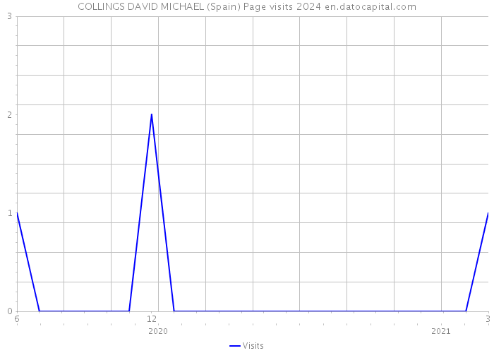 COLLINGS DAVID MICHAEL (Spain) Page visits 2024 