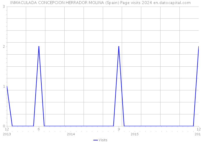 INMACULADA CONCEPCION HERRADOR MOLINA (Spain) Page visits 2024 