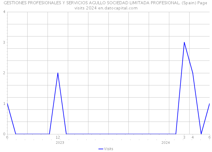 GESTIONES PROFESIONALES Y SERVICIOS AGULLO SOCIEDAD LIMITADA PROFESIONAL. (Spain) Page visits 2024 