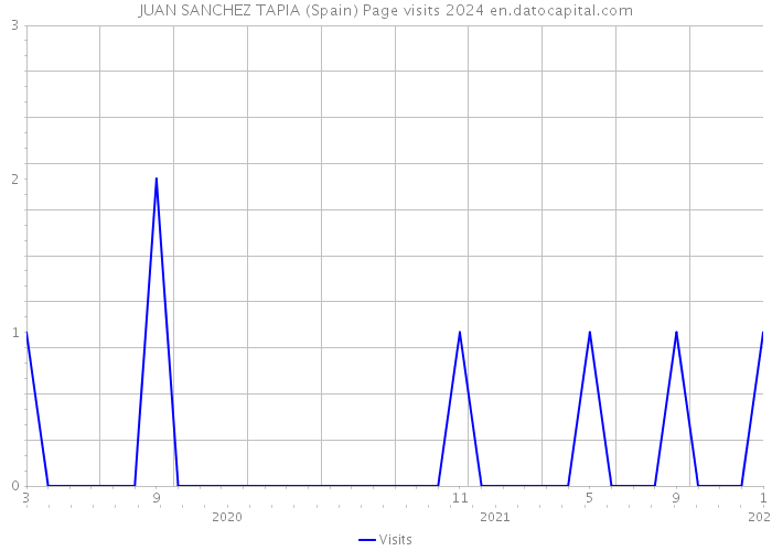 JUAN SANCHEZ TAPIA (Spain) Page visits 2024 