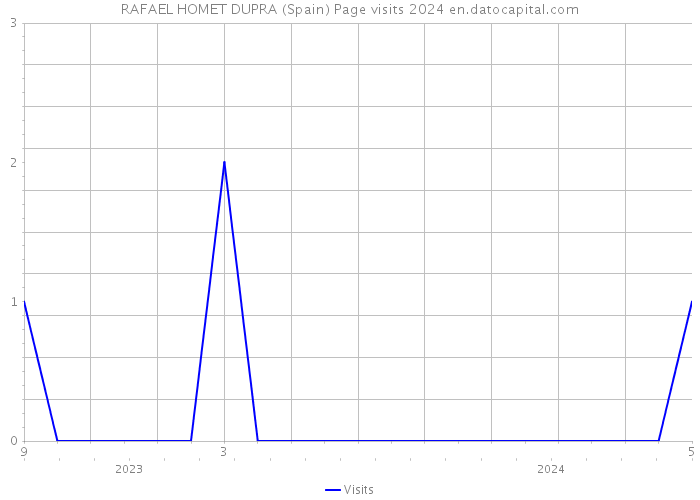 RAFAEL HOMET DUPRA (Spain) Page visits 2024 