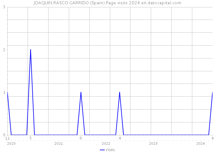 JOAQUIN RASCO GARRIDO (Spain) Page visits 2024 