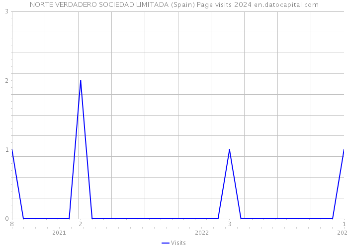 NORTE VERDADERO SOCIEDAD LIMITADA (Spain) Page visits 2024 
