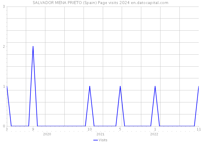SALVADOR MENA PRIETO (Spain) Page visits 2024 