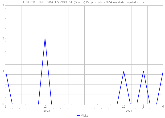 NEGOCIOS INTEGRALES 2008 SL (Spain) Page visits 2024 