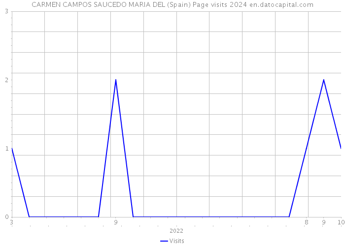 CARMEN CAMPOS SAUCEDO MARIA DEL (Spain) Page visits 2024 