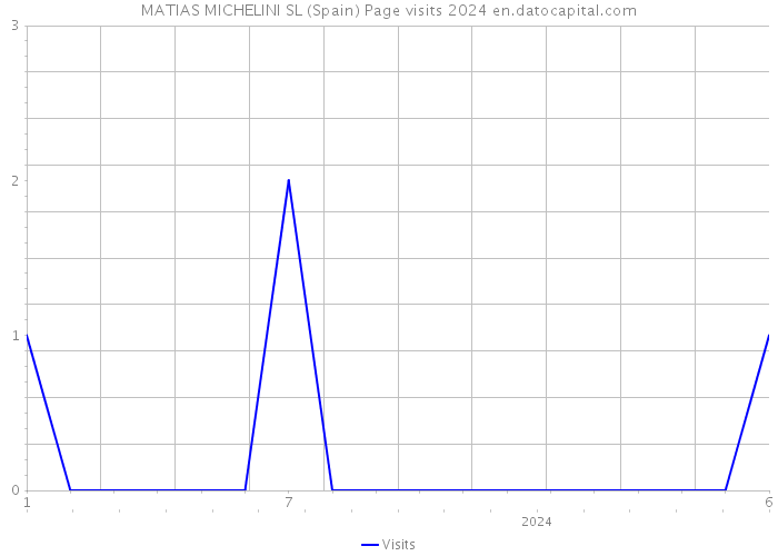 MATIAS MICHELINI SL (Spain) Page visits 2024 