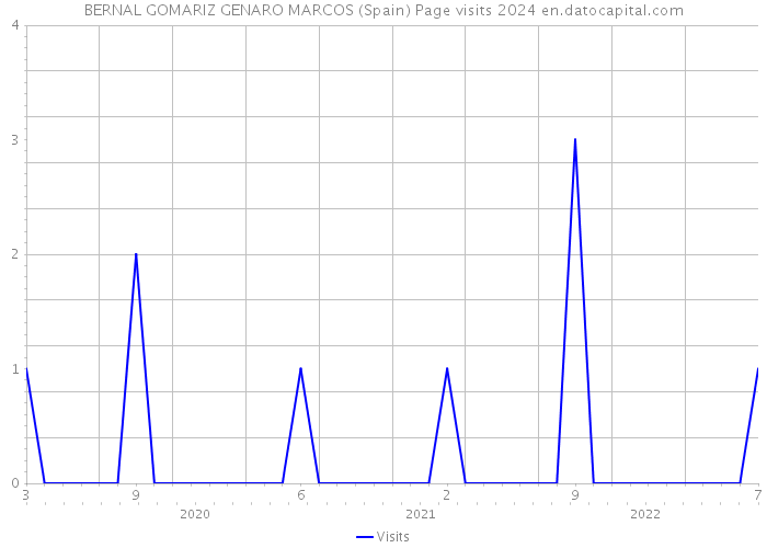 BERNAL GOMARIZ GENARO MARCOS (Spain) Page visits 2024 