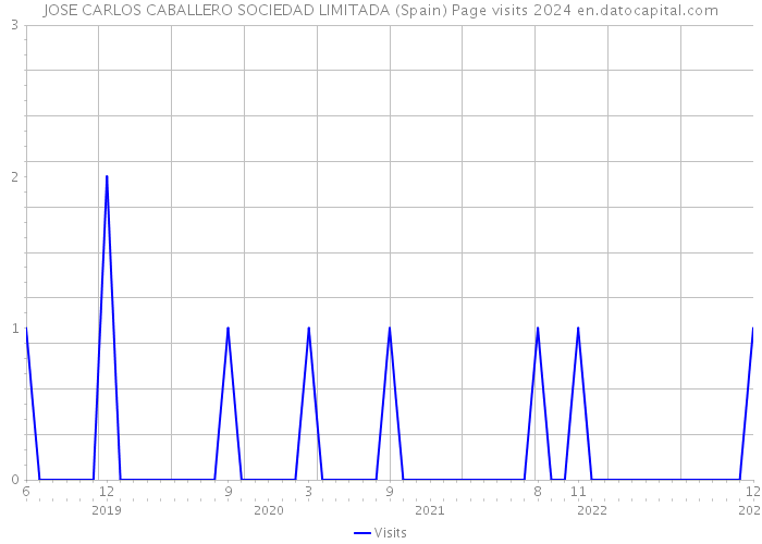 JOSE CARLOS CABALLERO SOCIEDAD LIMITADA (Spain) Page visits 2024 