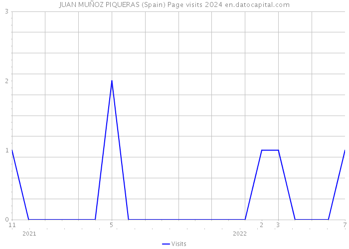 JUAN MUÑOZ PIQUERAS (Spain) Page visits 2024 